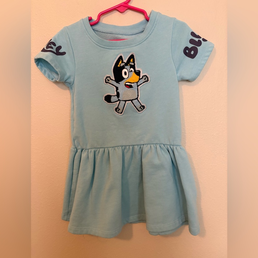 🩵 Rare Bluey dress